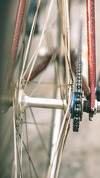 Vivalo Special NJS 'Maroon Flake' photo