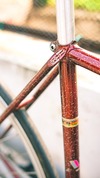 Vivalo Special NJS 'Maroon Flake' photo