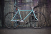 Wabi Classic photo