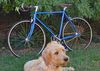 Wabi Classic photo