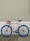 Golden Cycles fixed gear "Waifu" photo