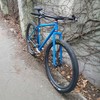 Waltworks 29er photo