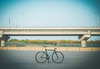 WASP  Track Bike photo