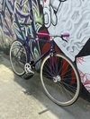 Watanabe non-NJS photo