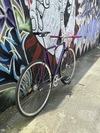 Watanabe non-NJS photo