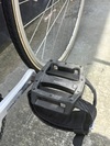 Watanabe non-NJS photo