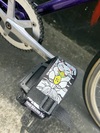 Watanabe non-NJS photo