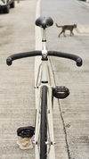 White Commuter Fixie photo