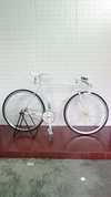 WHITE MAKINO Columbus Spirit Keirin-INA photo