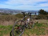 Wilier Cross Carbon photo