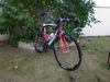 Wilier Izoard photo