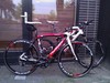 Wilier Izoard XP photo