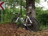 Wilier Le Roi 2009 photo