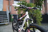 Wilier OroPuro Full photo