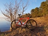 Wilier Pista photo