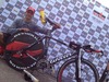 Wilier Team Chrono 2010 photo