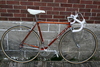 Wilier Triestina Cromovelato photo