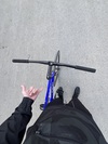 Wilier Triestina Pista photo