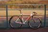 Wilier Velodromo photo