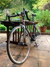 Willier Triestina Imperiale Deluxe photo