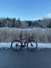 Norwegian winter beater photo