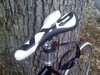 Kilo TT with carbon fork photo