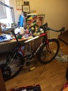 WIP trek Madone 2011 photo