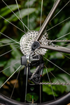 Wittson Custom Road Disc 246 photo