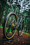 Wittson XC 29er Bestia Boost photo