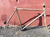 Wolverine *frame/fork/headset for sale* photo