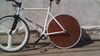 woodgrain disc wheel photo