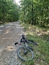 Custom Ti ATB - Rohloff, Gates, Lauf photo