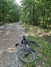 Woodlands Expert - Rohloff, Gates, Lauf photo