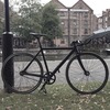 Workhorse photo