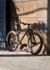 WZRD BCXC photo