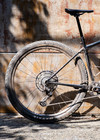 WZRD BCXC photo