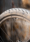 WZRD BCXC photo