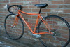 XSmall Gardin Fast Orange! photo