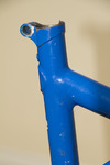 GT Olympic Team Pursuit (Frame for Sale) photo