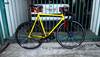 Yellow Dignity Custom Pursuit photo