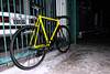 Yellow Dignity Custom Pursuit photo