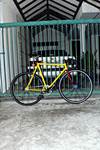 Yellow Dignity Custom Pursuit photo