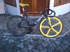 Yellow on Black Visp photo