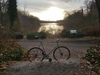 Zebra - unknown track bike photo