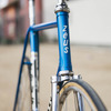 Zeus Pista photo