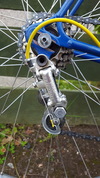 Zieleman Type Special photo