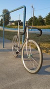 ZOLA AERO PISTA  custom trаck bike photo